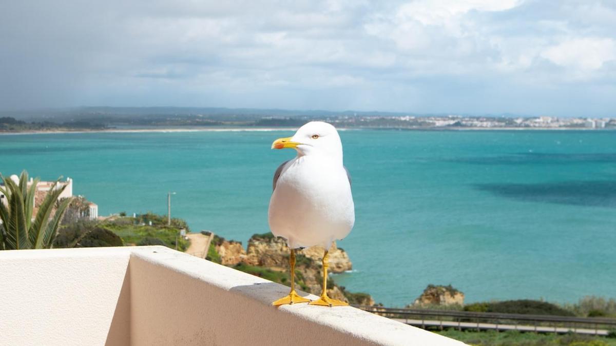 Novo! Vista Mar Junto à Dona Ana Apartment *
